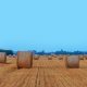 la farine de paille à meilleur prix