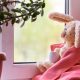 Miffy lapin
