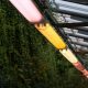 LED horticole professionnel