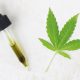 L'huile de CBD
