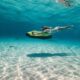 seabob